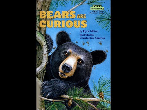 絵本・児童書 Bear's Curiosity Book hqdefault.jpg