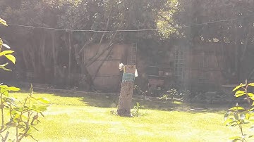 Raspberry PI Camera Time Lapse