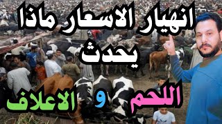 ماذا يحدث ؟ انهيار اسعار  العجول والاعلاف Decrease in the prices of calves and feed