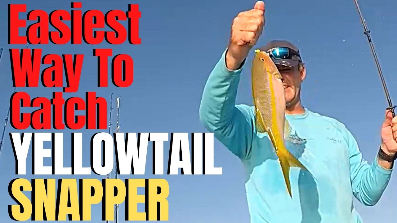 How To Catch YELLOWTAIL SNAPPER the easiest way RIG JIG & BAIT 
