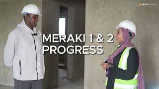 Meraki Phase 1 and 2 Progress Report Jan 2024