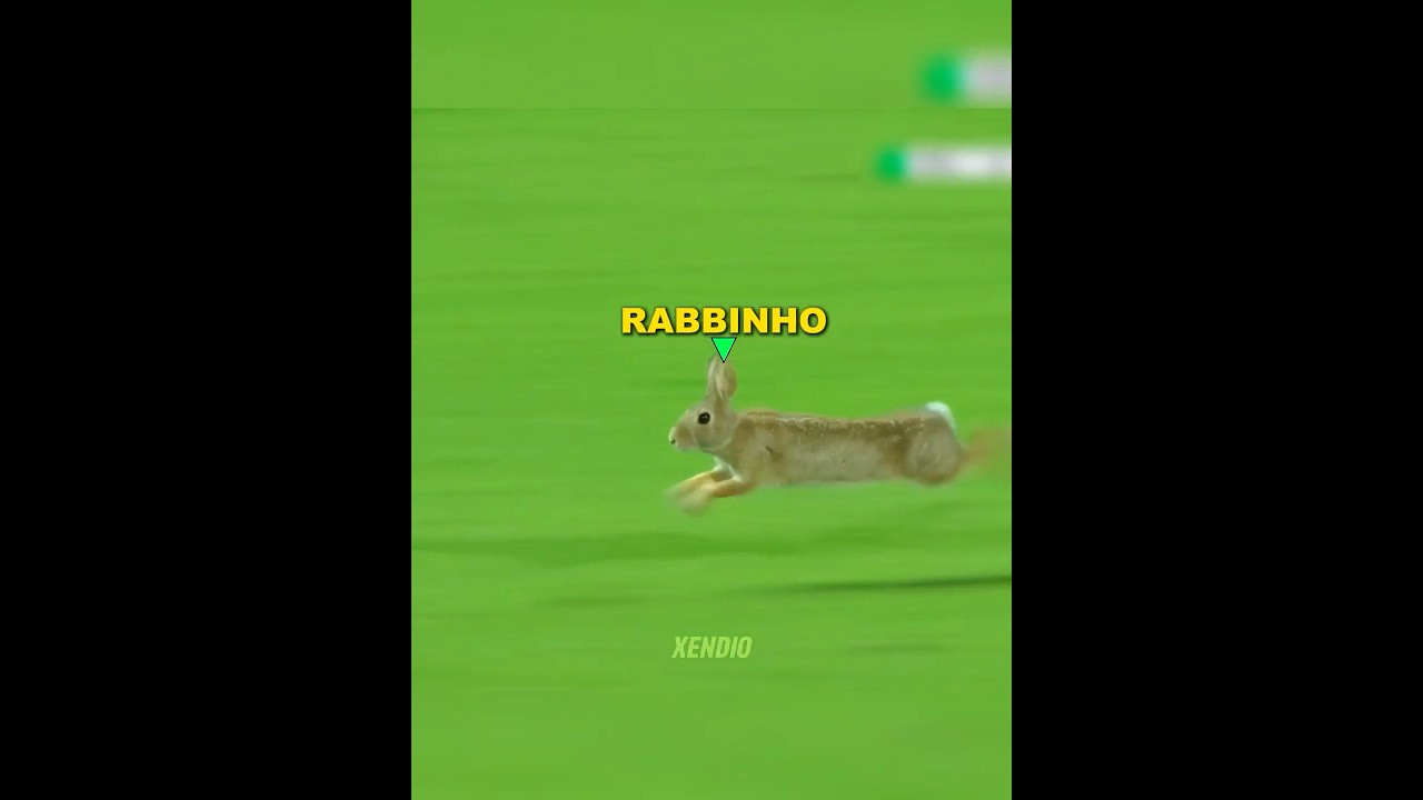 Original Title & Thumbnail