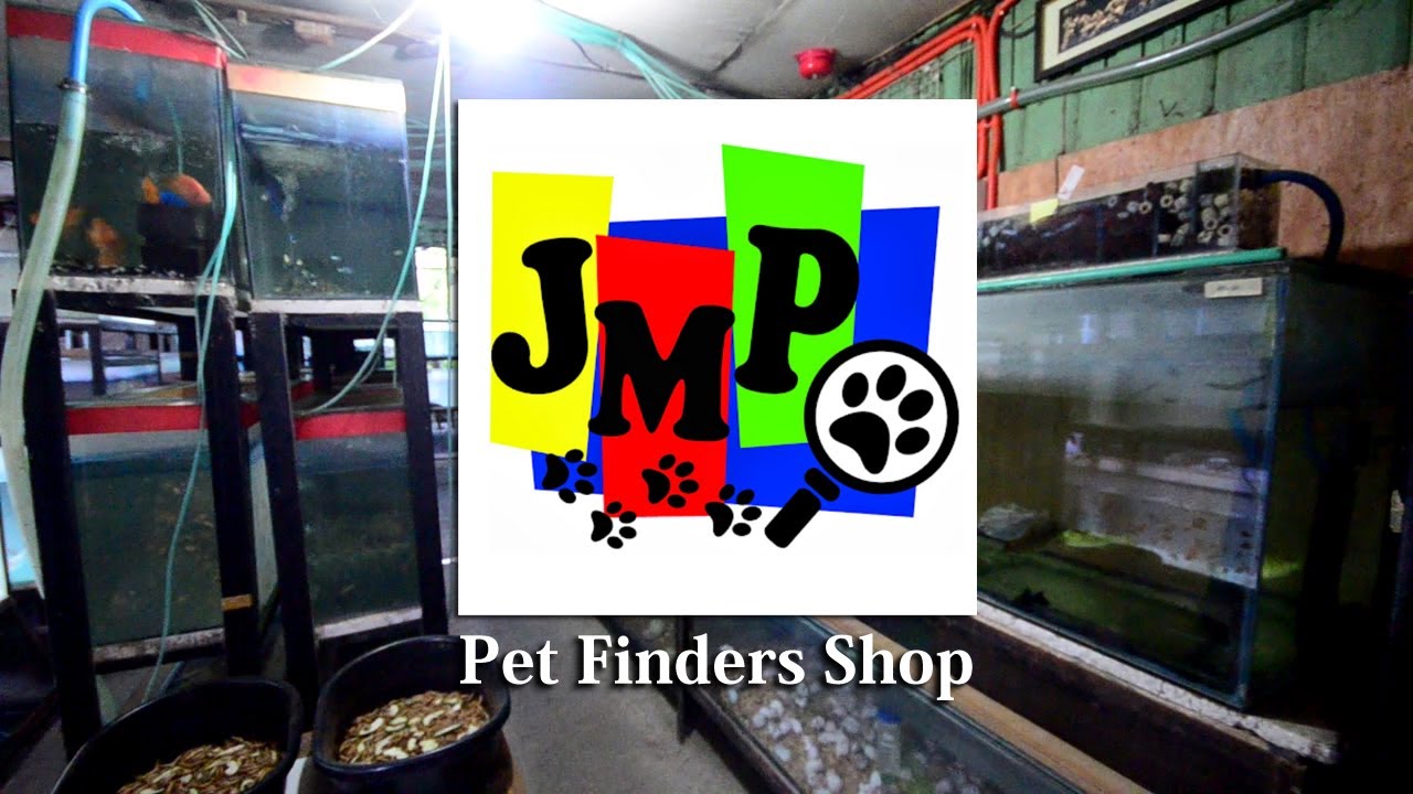 JMP Pet Finders Shop YouTube