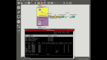 Flash labs: Router-on-a-stick (ROAS) in GNS3