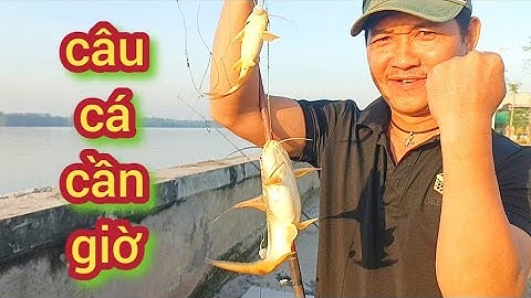 Câu cá mùa giáng sinh 2025 ở cần giờ, cá ăn giật liên tục 