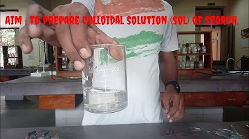 chemistry Experiment class 12 । lyophilic sol colloidal solution of starch