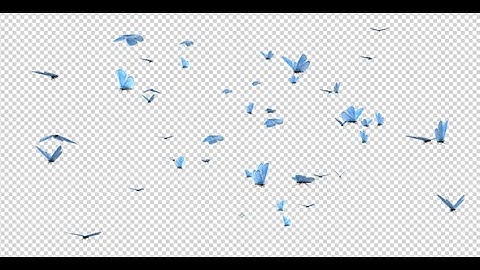 Flying Butterfly Swarm - Blue Adonis - Transparent Loop - 4K