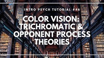 Color Vision: Trichromatic and Opponent Process Theories (Intro Psych Tutorial #46)