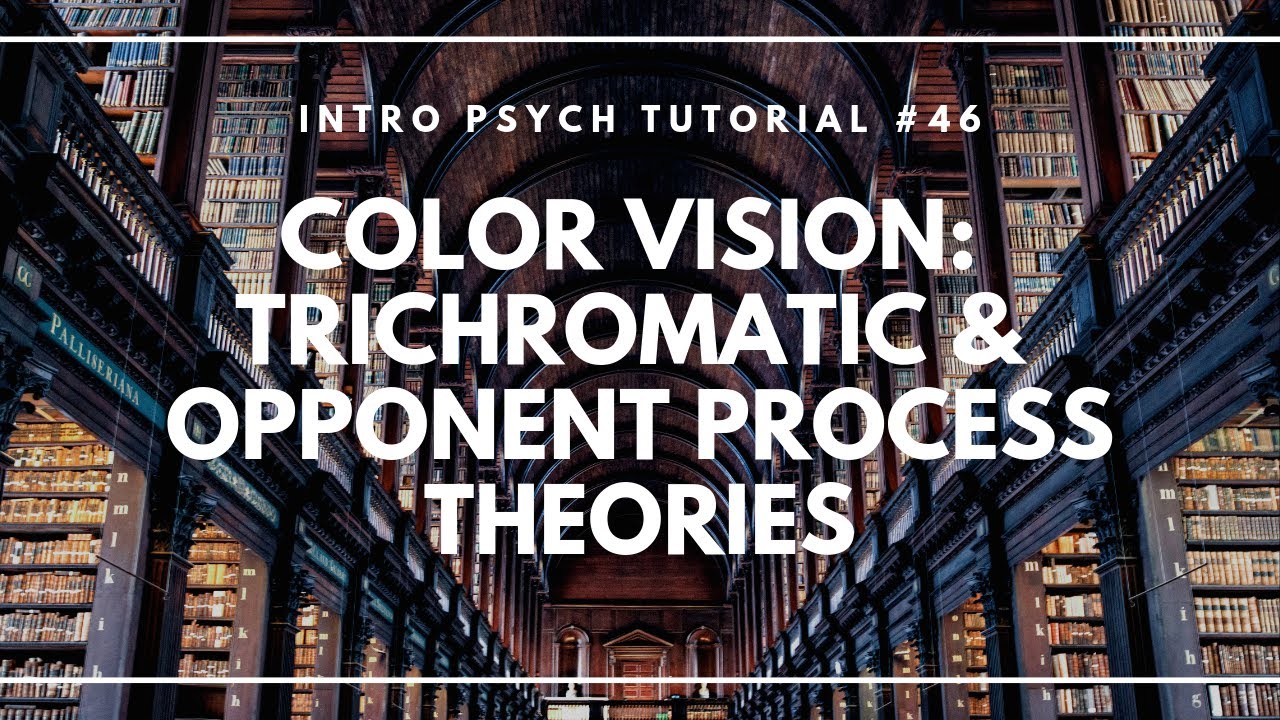 Color Vision: Trichromatic And Opponent Process Theories (Intro Psych Tutorial #46)