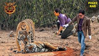 जंगल के आतंकी Tiger से हुआ Team CID का सामना! | CID | New Ep 2026