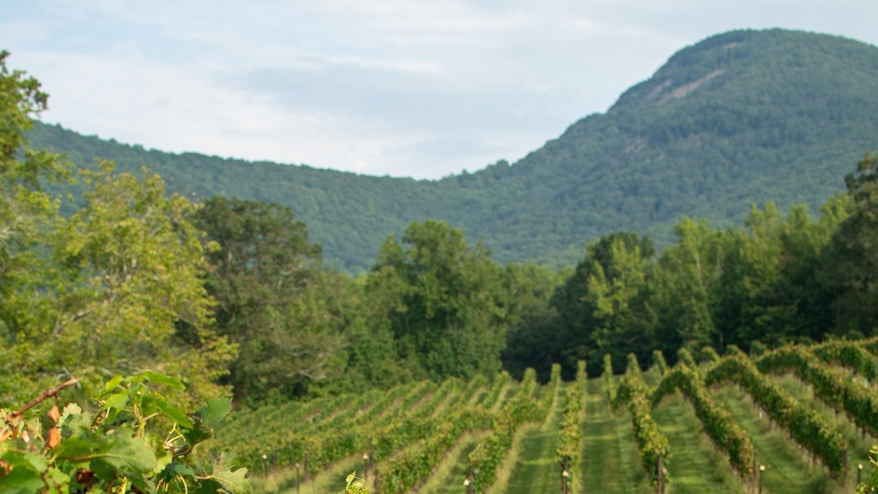 Georgia Wine – Premium Wines in the Peach State with Eric Miller of Yonah Mountain Vineyards