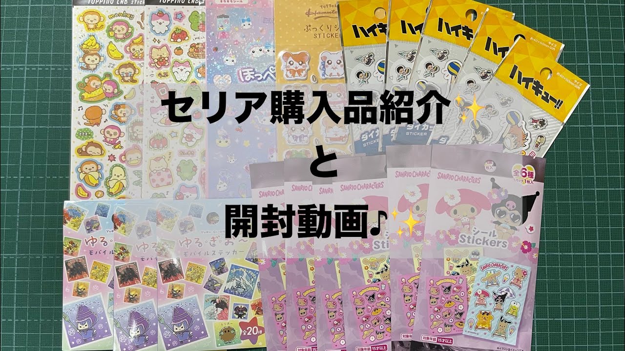 セリア購入品紹介と開封動画 見つけた時には興奮して即購入しちゃい