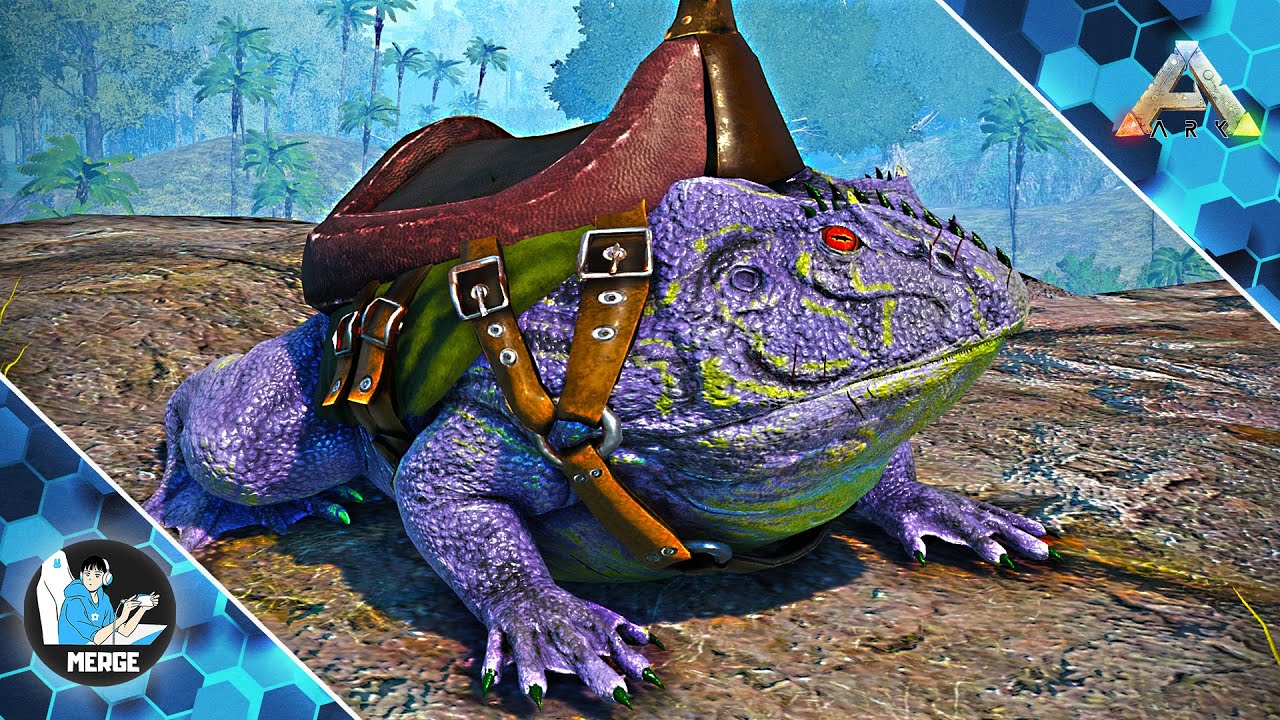 Ribbit E O Dezamagire Totala... | Ark #20