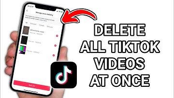 How to Delete All TikTok Videos at Once in 2025 | Bulk Remove TikTok Posts Easily