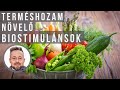 Mik azok a biostimuláns termésnövelők | kert TV