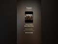 Traquées