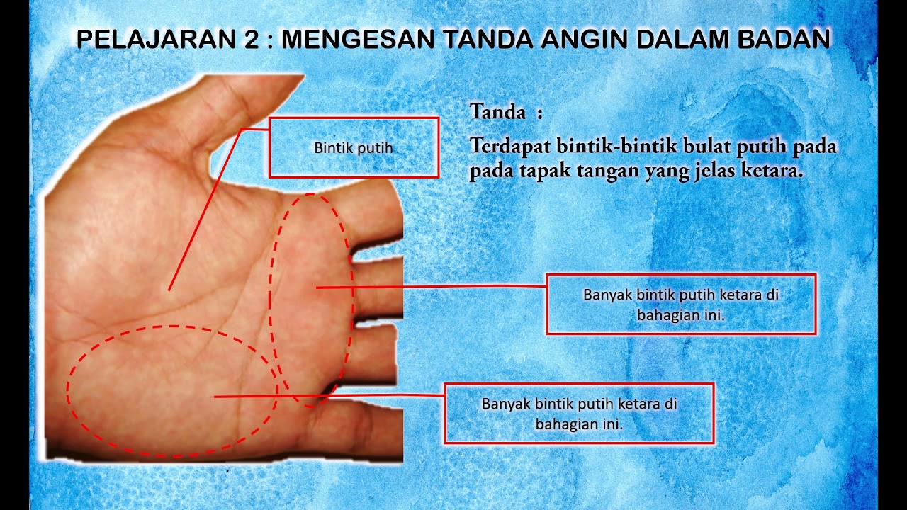 Cara mengurangkan angin dalam badan – Tumbuhan Herba dan Kesihatan