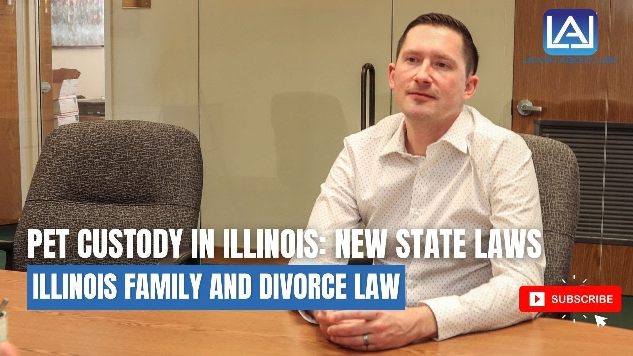 Pet Custody in Illinois YouTube