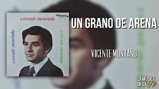 Video thumbnail of "Vicente Montaño - Un Grano De Arena (LP)"