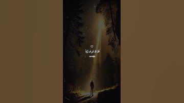 ﴿أَفَمَن شَرَحَ اللَّهُ صَدْرَهُ لِلْإِسْلَامِ﴾ | تلاوة تهز القلوب #ياسر_الدوسري #تلاوة_خاشعة #قرآن