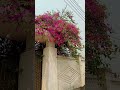 খোবদসর বিডওটা  টান দিবনা #কুরআন #হাসির_ভিডিও