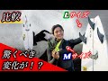 【比較】フィンのサイズをLからMに変えてみた結果。驚くべき変化が！？