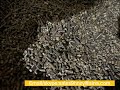 Biomass pellet machine