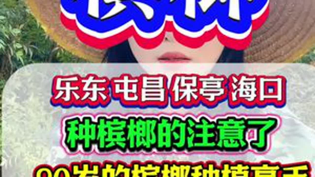 槟榔种植高产管理技术，健康一整年花多果多