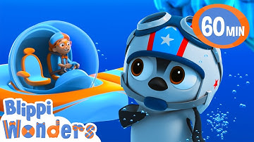 Blippi wonders can penguins fly? | Blippi Wonders Educational Videos for Kids