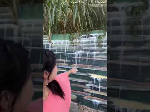 關廟區新光里北寮彩繪村