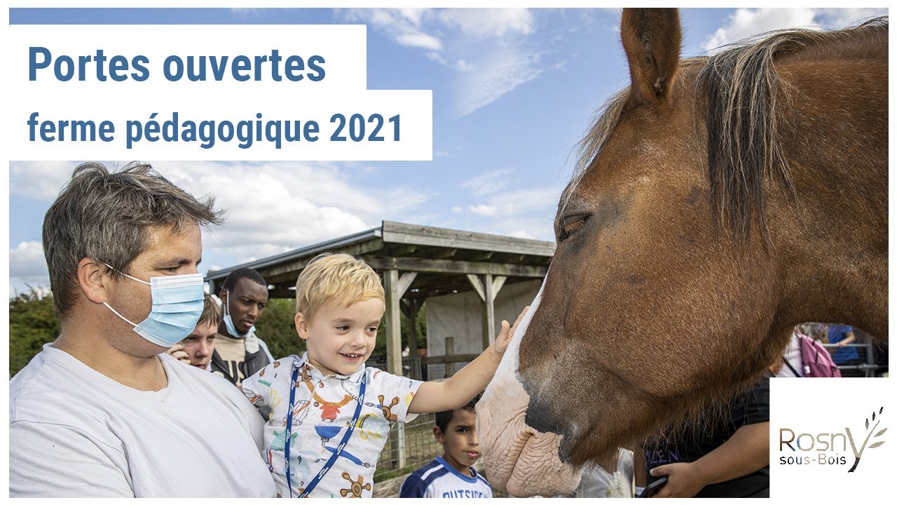 Les fermes pédagogiques : quand les enfants découvrent les animaux