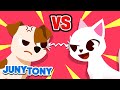 🐱vs🐶 Gatita vs. Perrito | ¡Que Gane el Mejor! | Gato vs Perro | Juny Tony en español