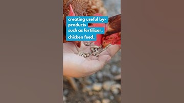 #WorldToiletDay 2024