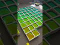 Willow’s colorshift 😳 #shorts #satisfying #art #asmr