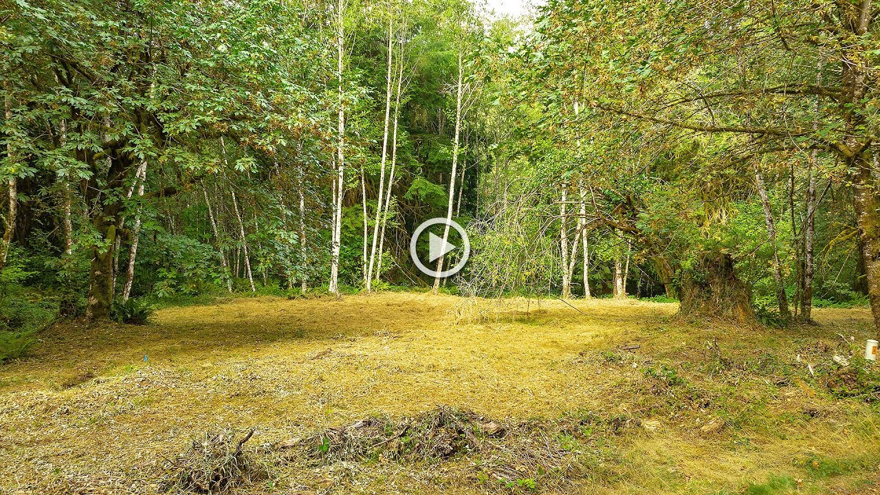 00 NE Echo Ridge Brush Prairie WA Brush Prairie Land for Sale YouTube