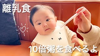 【離乳食】10倍粥を食べる赤ちゃん/baby food/baby eating porridge.