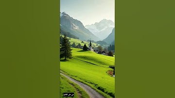 قرآن كريم سورة القدر بصوت القارئ الشيخ رعد محمد الكردي