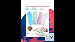 Plush Nibbles Catnip Pillows (2pc)