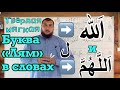 Урок № 19: Буква «Лям» ( ل ) в словах «الله» и «اللَّهُمَّ» / твёрдое и мягкое произношение