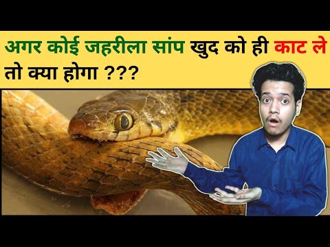 वीडियो: क्या हमेशा टाईब्रेकर का खतरा रहता था?