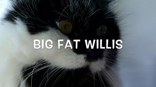 Richard D, Ruttenberg - Big Fat Willis
