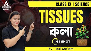 Tissues Class 9 One Shot in Assamese | Class 9 Science by Juri Maam