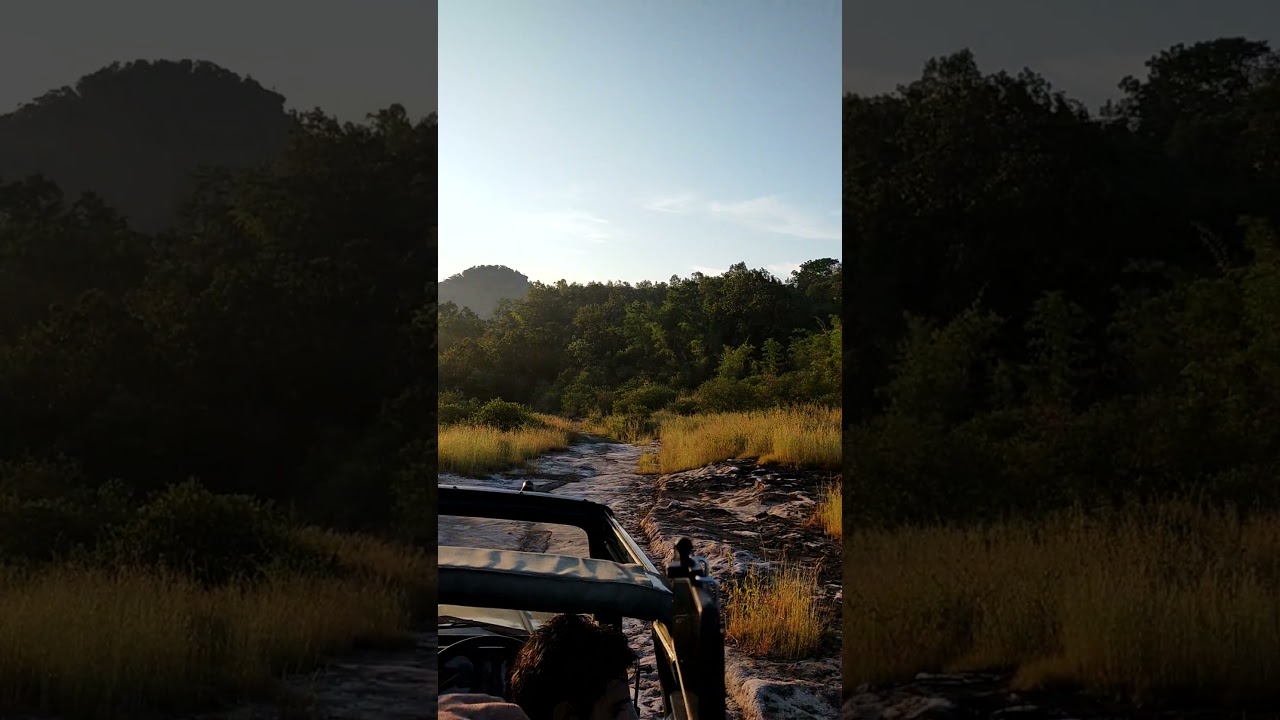 Beautiful Tala Zone at Bandhavgarh Tiger Reserve