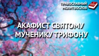 Акафист святому мученику Трифону.