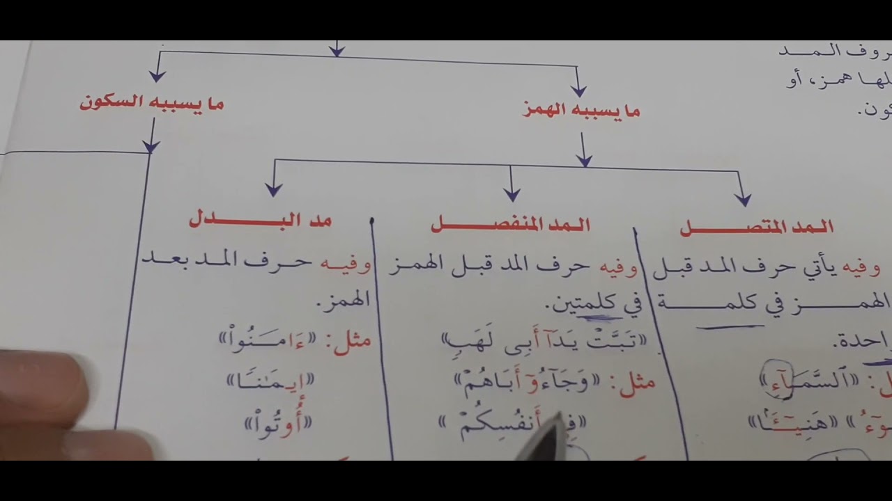 المد في كلمتين المنفصل يأتي يأتي المد