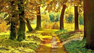 Solarsoul feat. Kristin Amarie - Hope Never Dies - 2014 (HD)