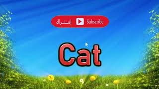 معنى كلمة  cat