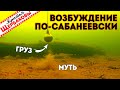 ЗИМНИЕ ОКУНИ и "ВОЗБУЖДЕНИЕ ПО-САБАНЕЕВСКИ". Подводные съемки. Зимняя рыбалка