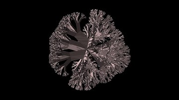 3D fractal: fractal tree based on a tetrahedron