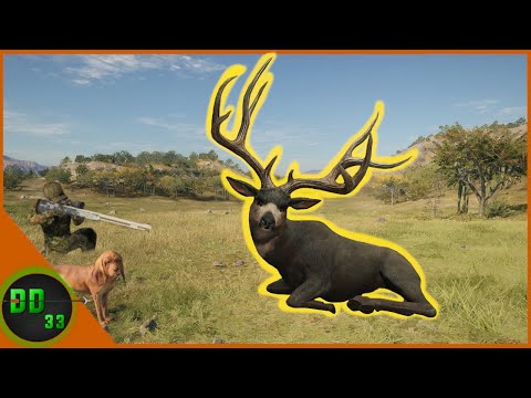 Muzzleloader Hunting In Honor of Mule Deer Season! Call Of The Wild